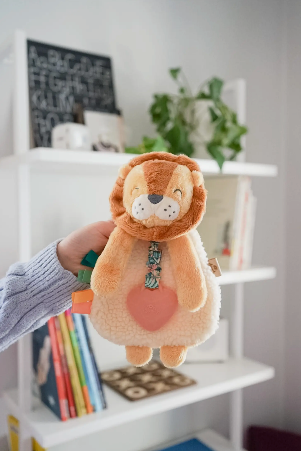 Buddy the Lion Plush and Teething Toy